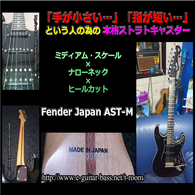 肪,wZ,~fBAXP[ Xgg,Fender,AST-M,w,r[,tF_[