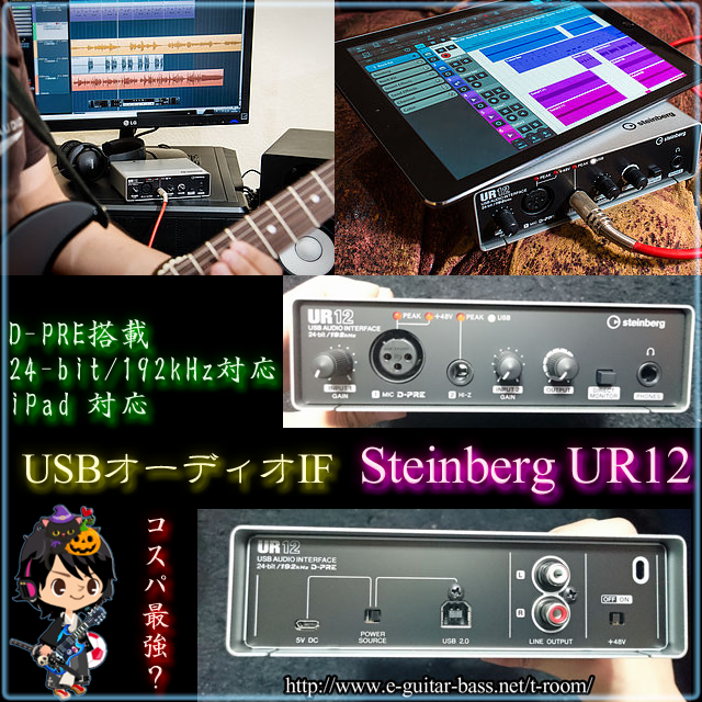 iUSBI[fBIC^[tF[X steinberg UR12